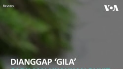 Dianggap 'Gila' Sadiman Hijaukan Bukit dan Buat Mata Air