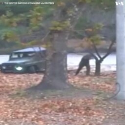 North Korean Defector Video