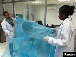 Workers look for holes in mosquito netting at the A to Z Textile Mills factory producing insecticide-treated nets in Arusha, Tanzania.