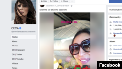 Facebook stranica Svetlane Cece Raznatović