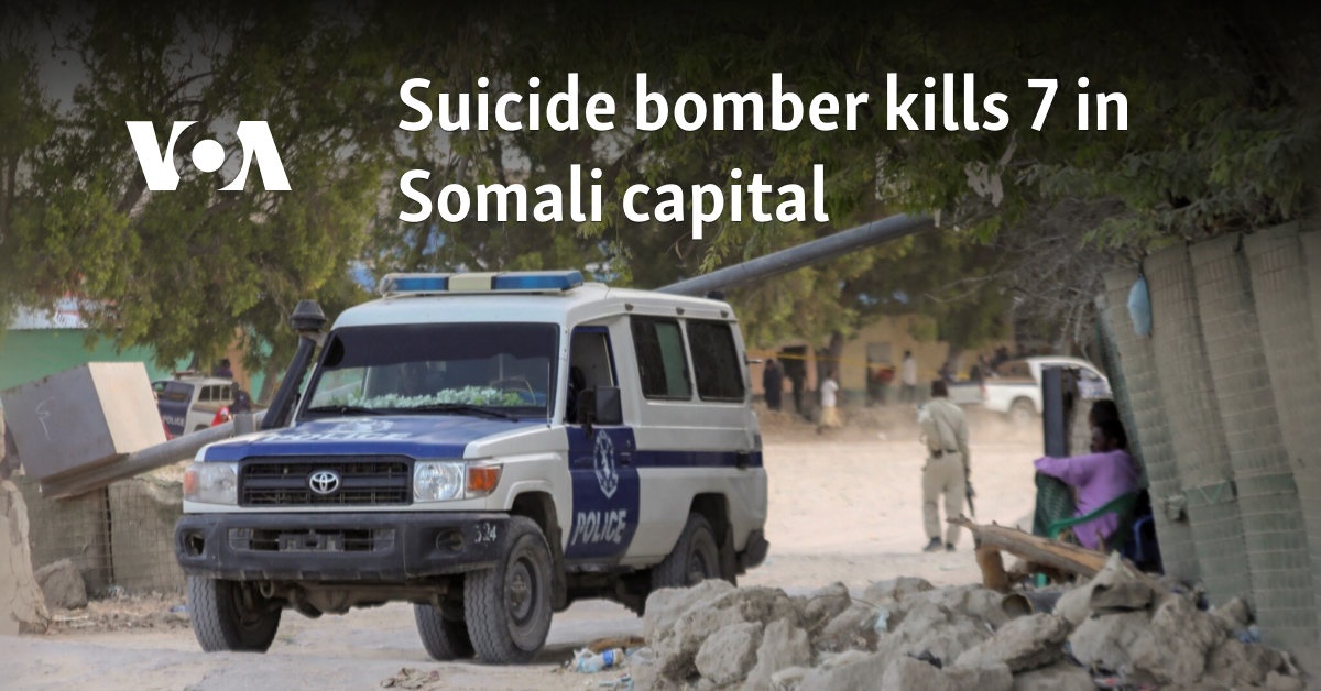 Suicide bomber kills 7 in Somali capital