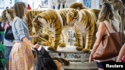 Para pelanggan melihat-lihat boneka macan di sebuah toko mainan di New York, 15 Juli 2015.