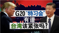 海峡论谈：G20“特习会”有谱 台湾该紧张吗？