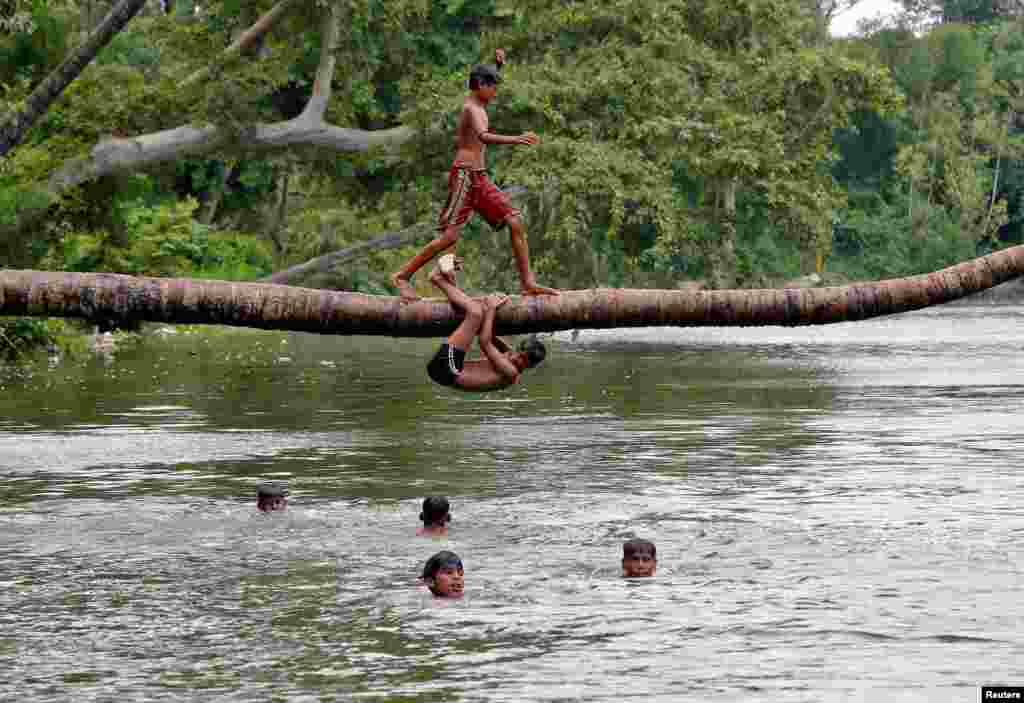 A boy prepares to jump from a fallen coconut tree into a lake on a hot summer day in Kolkata, India.