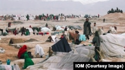 Afghanistan IDP 