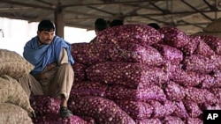 An Indian worker sits on sacks of onions at a wholesale market on the outskirts of Jammu, 22 Dec 2010