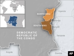 Congolese Civilians Suffer Atrocities at IDP camps in North Kivu