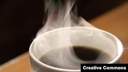 Doctors warn not to drink more than 4 cups of coffee per day.