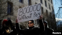 Протестувальник з плакатом "800 000 без оплати" на акції протесту в Вашингтоні 10 січня 2019 року
