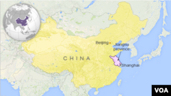 中国东部一些地区出现一些奥密克戎变异株感染群。紫色地区为靠近长江三角洲地区的江苏省和上海市。