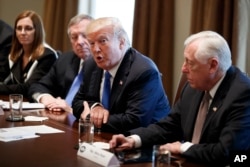 FILE - President Donald Trump speaks during a meeting with lawmakers on immigration policy in the Cabinet Room of the White House, Jan. 9, 2018, in Washington.