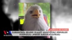 ამერიკა 60 წამში