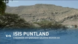 Qubanaha VOA