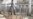 Libyan Rebel Strategy Depends on Outside Military Help