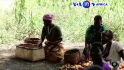 Manchetes Africanas 13 Abril 2016