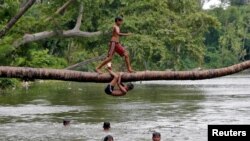 A boy prepares to jump from a fallen coconut tree into a lake on a hot summer day in Kolkata, India.