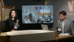 بي بي شیرینه – وي او اې ډيوه په ټیلې ویژن