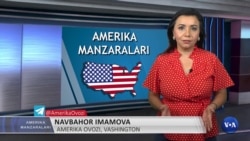 Amerika Manzaralari: Ukraina, saylov, uysizlar