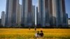 People take a selfie in a field of cosmos flowers in Goyang, west of Seoul, South Korea.