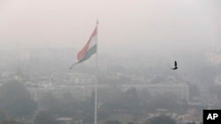 A bird flies past as New Delhi's skyline is seen enveloped in smog and dust, in New Delhi, India, Nov. 1, 2019.