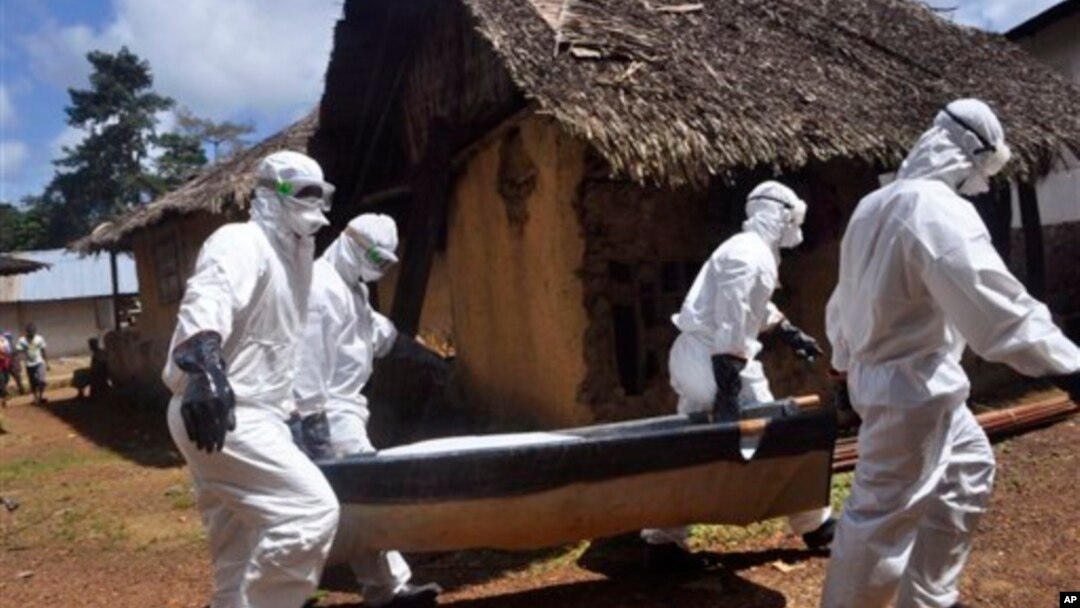 Petugas kesehatan membawa jenazah seorang perempuan yang diduga terkena virus Ebola di Bomi, luar kota Monrovia, Liberia (20/10). (AP/Abbas Dulleh)