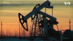 미국 정부 전략비축유 1억 7천 200만 배럴 방출 발표 