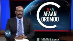 Tamsaasa Guyaadhaa Guyyaa