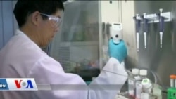 Kanser Tedavisinde Umut Veren Yeni İlaç