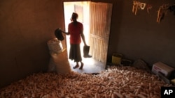 A woman stands in a hut filled with maize grain in Epworth, on the outskirts of Harare, Zimbabwe, Tuesday, Oct. 16, 2012. 