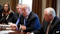 FILE - President Donald Trump speaks during a meeting with lawmakers on immigration policy in the Cabinet Room of the White House, Jan. 9, 2018, in Washington.