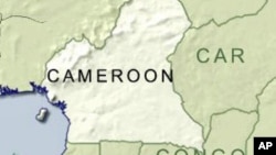 Cameroon and the Central African Republic, or CAR, share a 900-kilometer border, along which the countries have seen an increase in civilian abductions.