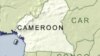 Cameroon, CAR Blame Rebels for Kidnappings