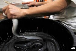 Shinji Hashimoto, owner of Michelin one-star unagi restaurant, prepares live unagi for dinner service, Aug. 2, 2017. The unagi restaurant first opened in 1853 and is now in its sixth-generation.