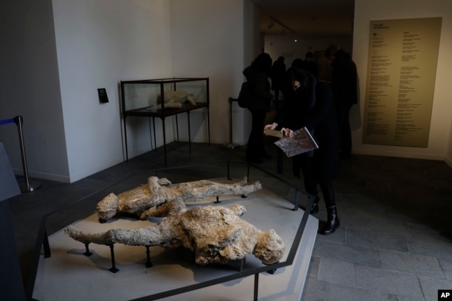 A woman takes pictures of casts of two victims of the 79 AD Eruption of Mount Vesuvius displayed at the museum Antiquarium, in Pompeii, southern Italy, Monday, Jan. 25, 2021. (AP Photo/Gregorio Borgia)