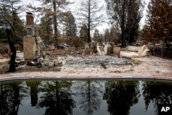 Trees reflect in a swimming pool outside Erica Hail's Paradise, Calif., home, which burned during the Camp Fire, Dec. 3, 2018.
