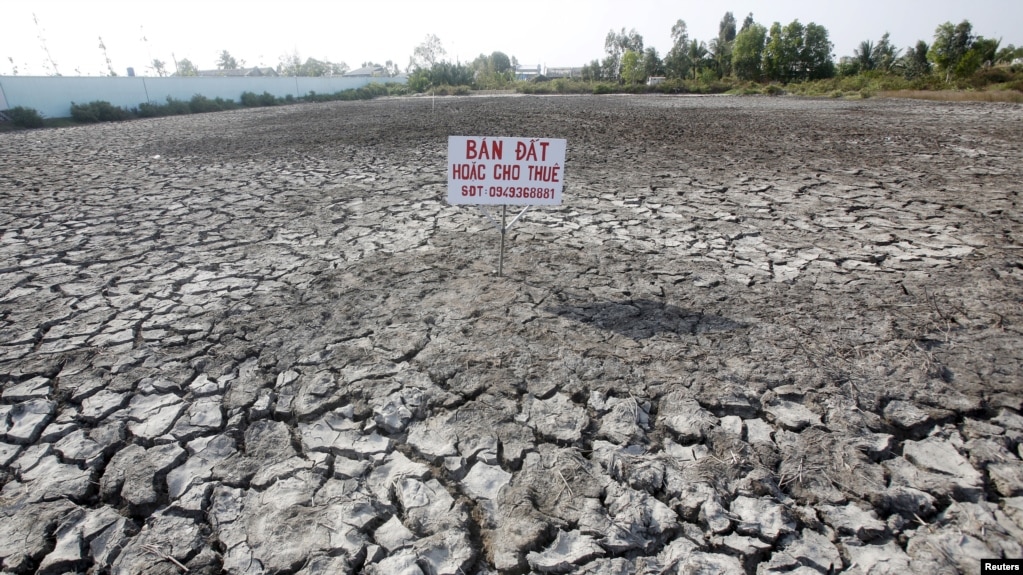 Hạn hán nghiêm trọng xảy ra năm 2016 ở tỉnh Bạc Liêu và một số tỉnh khác thuộc Đồng bằng sông Cửu Long (ảnh tư liệu).