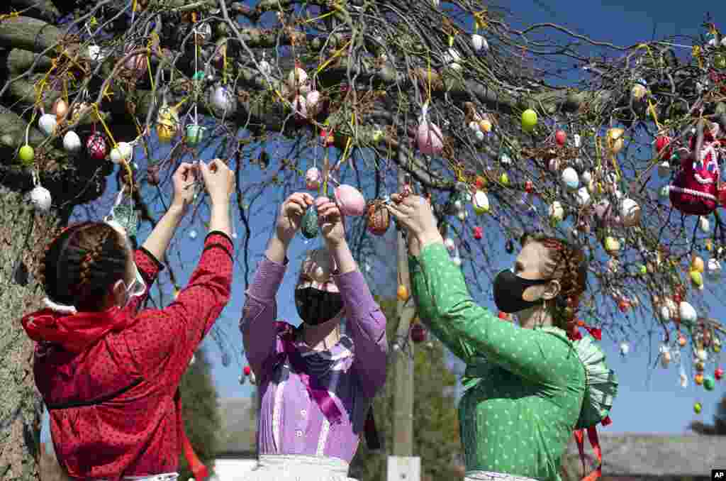 Dressed in folk costumes, young women decorate a tree with painted Easter eggs in Dombrad, Hungary.
