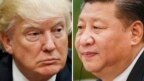 Tổng thống Mỹ dự kiến sẽ đón tiếp Chủ tịch Trung Quốc Tập Cận Bình vào giữa tuần này.
