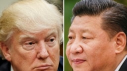 Rais Donald Trump - Rais Xi Jinping 