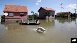 Poplave u jednom od sela blizu Beograda