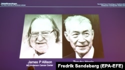 Na ekranu prikazani portreti dobitnika Nobelove nagrade za medicinu ili fiziologiju u 2018. godini, Stockholm, 1. oktobar 2018.
