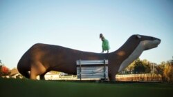 A girl plays on a giant otter sculpture in Fergus Falls, Minn., Oct. 29, 2021. It is a place where neighbors pay unannounced visits to say "hi" and people greet the postmaster by name. It is also staunchly Republican.