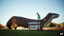 A girl plays on a giant otter sculpture in Fergus Falls, Minn., Oct. 29, 2021. It is a place where neighbors pay unannounced visits to say 'hi' and people greet the postmaster by name. It is also staunchly Republican.