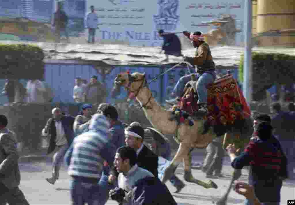 A supporter of President Hosni Mubarak, on camel, fights with anti-Mubarak protesters in Cairo, Egypt, Wednesday, Feb. 2, 2011. Several thousand supporters of President Hosni Mubarak, including some riding horses and camels and wielding whips, clashed wit