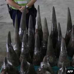A Hong Kong customs officer stands guard near seized rhino horns shipped from South Africa
