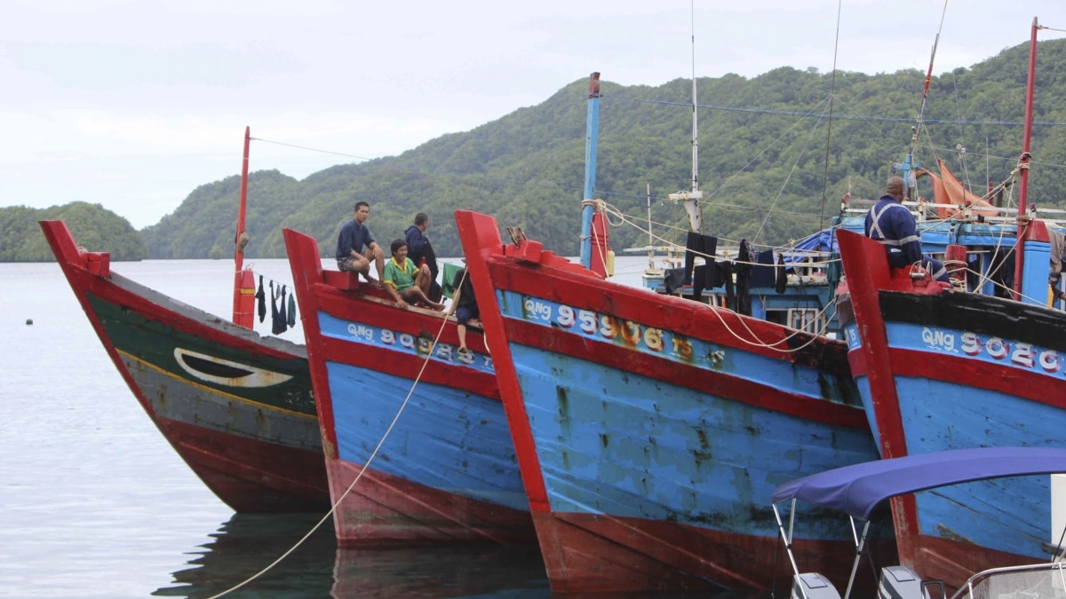 Đánh cá lậu & Việt Nam: Đi câu cá chưa bao giờ đủ kích thích? Hãy đến với chúng tôi để xem những hình ảnh đánh cá lậu tại Việt Nam, với những con cá to và đẹp như mơ. Bạn sẽ cảm thấy kinh ngạc trước sự giàu có của biển cả và tài năng đánh bắt của người Việt Nam.