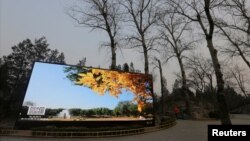 北京某处，荧屏上的蓝天秋色和周围雾霾中的冬日灰色形成对比。（2016年12月17日）