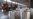 China's factory activity picks up but trade uncertainties weigh