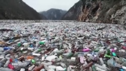 Lêkoler Hewl Didin ji Bermayên Plastîkan Xwarinê Çedikin