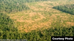 An aerial view of Prey Lang from a helicopter, 2016. (Courtesy photo of USAID/Michael Gebremedhin)